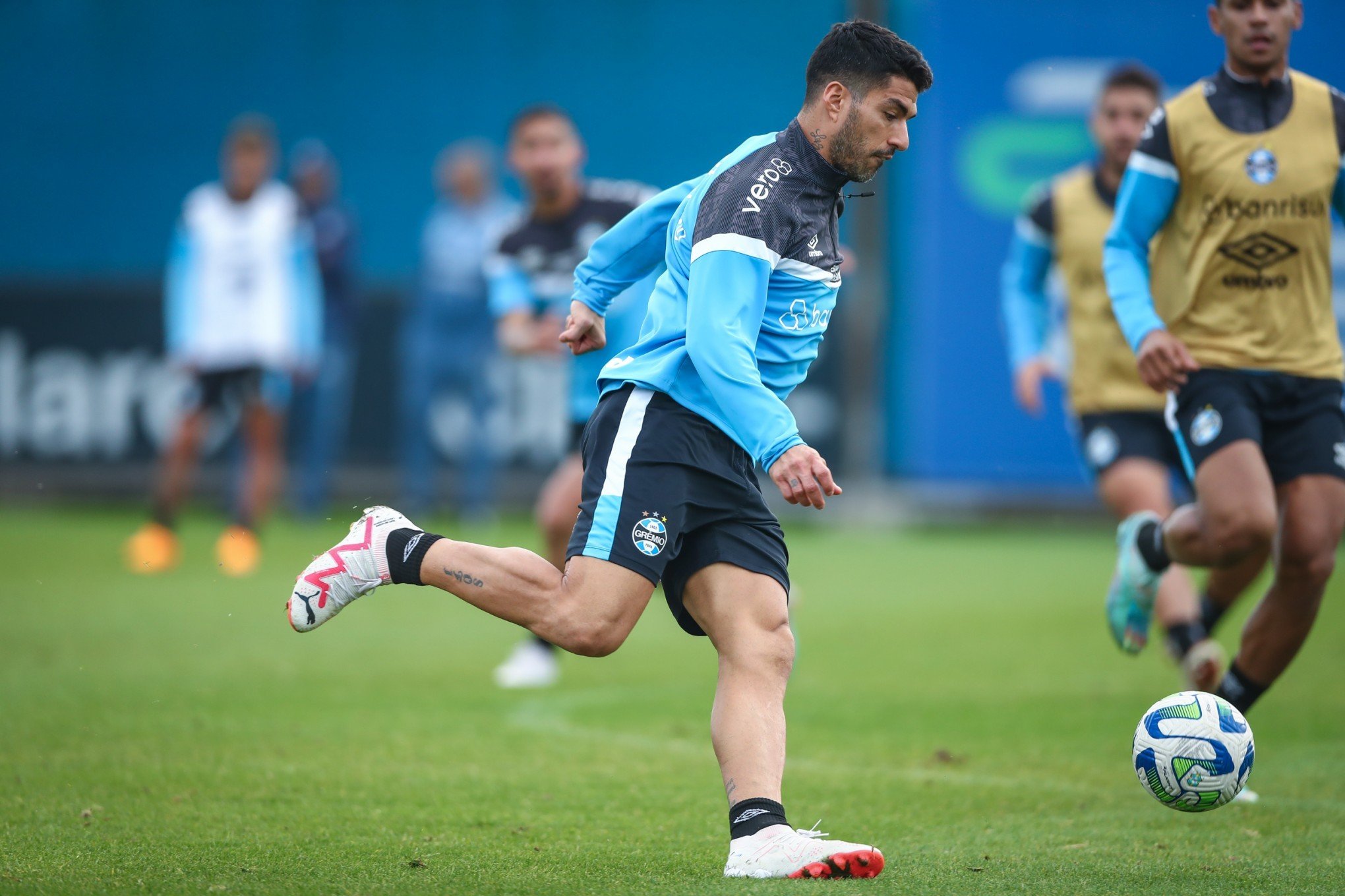 Inter Miami já acertou com Suárez e agora negocia com o Grêmio, diz jornalista argentino