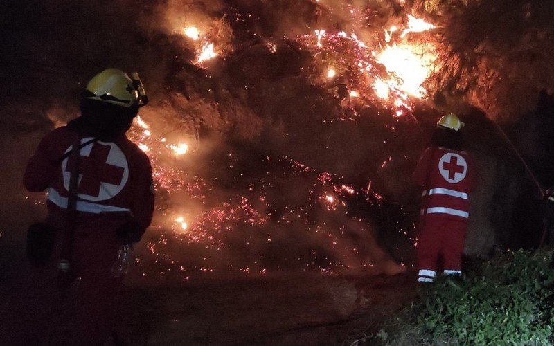 Ilhas da Grécia são esvaziadas por conta de incêndios florestais que já duram uma semana | Jornal NH