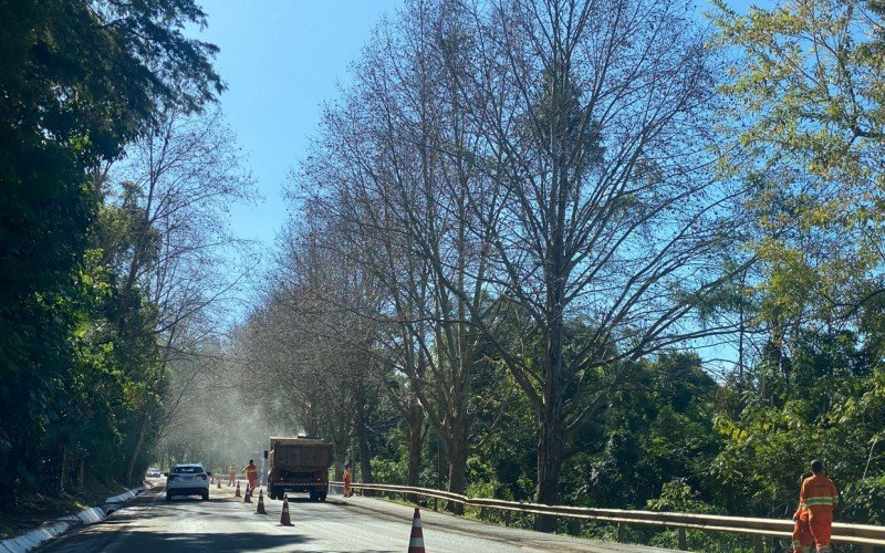 BR-116: TrÃ¢nsito no trecho onde uma cratera abriu nesta semana flui em meia pista nesta quinta-feira