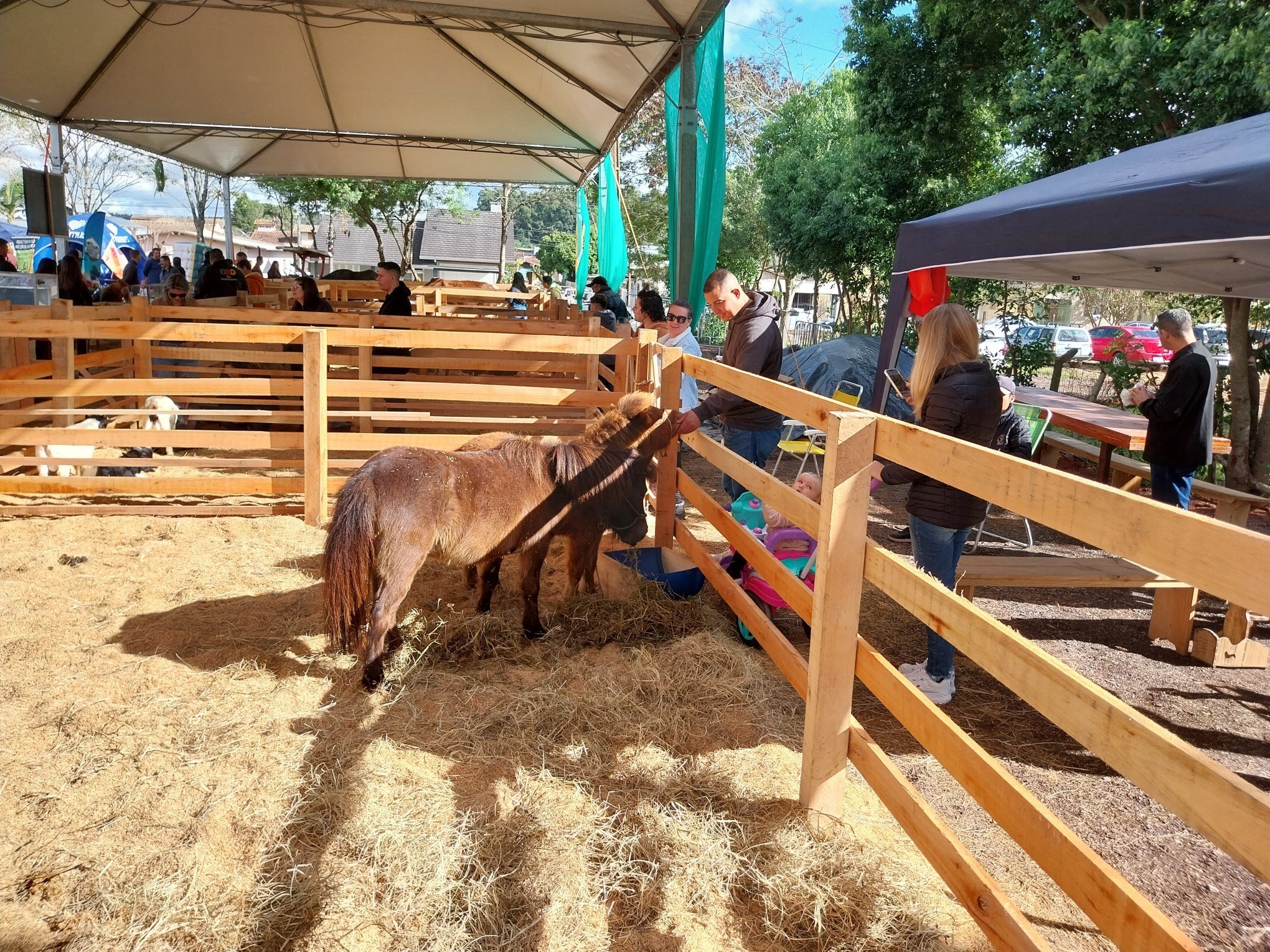 PÃºblico se encanta com exposiÃ§Ã£o de animais 