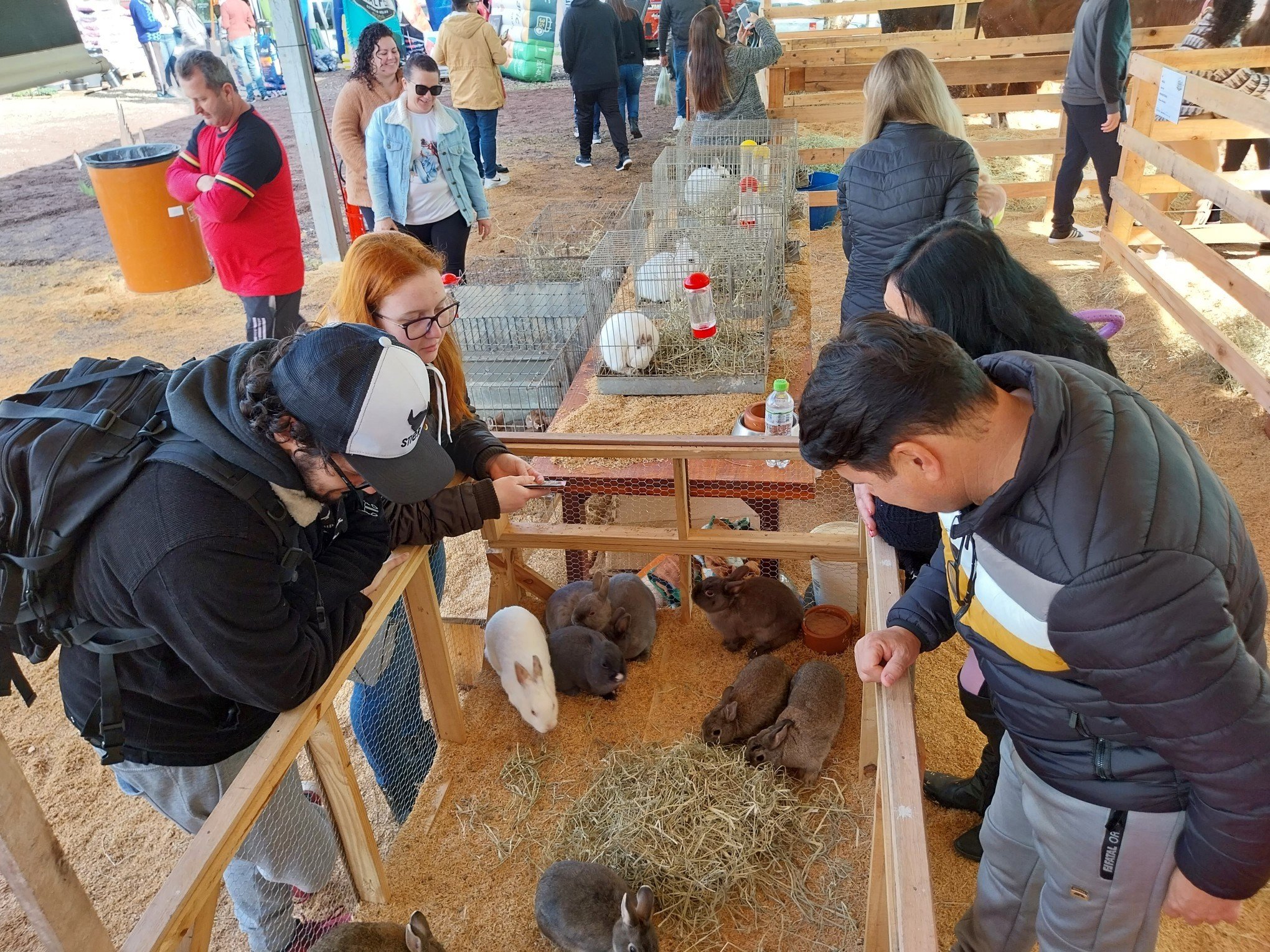 PÃºblico se encanta com exposiÃ§Ã£o de animais 