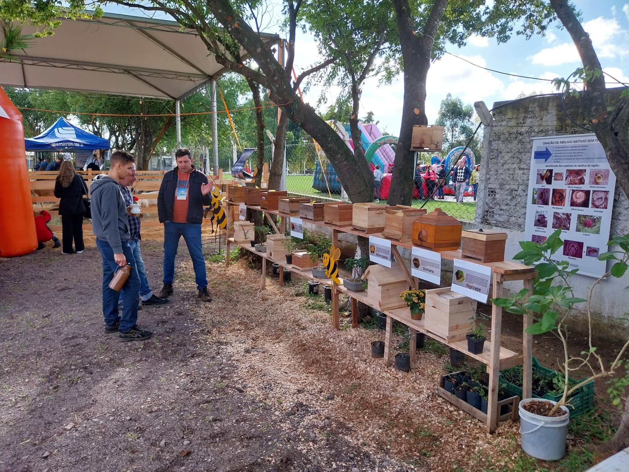 ExposiÃ§Ã£o de abelhas na Rural Fest