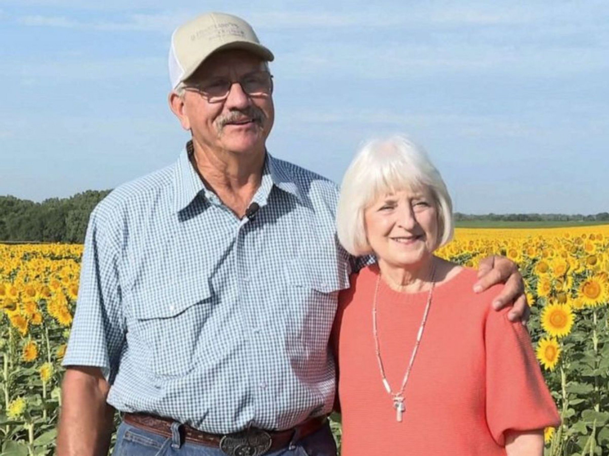 DATA ESPECIAL: Homem planta mais de 1 milhão de girassóis para comemorar bodas de ouro com a esposa; "me fez sentir especial"