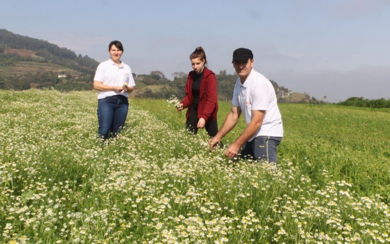 AgronegÃ³cio - agosto, 2023. AgroindÃºstria Produtos Lilen, em Picada CafÃ©, produÃ§Ã£o de orgÃ¢nicos. FamÃ­lia Rohr: Roberto, Clarice, Eduarda e Rafaela.