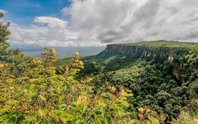Paisagens belíssimas no Piauí são atrativos para turistas  | Jornal NH