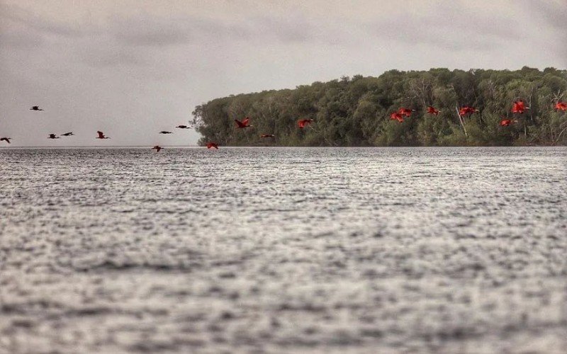 Delta do Parnaíba concentra belezas ainda pouco exploradas | Jornal NH