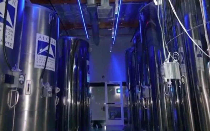 Brasileiro de 29 anos pega cerca de R$ 1 milhão para congelar corpo | Jornal NH