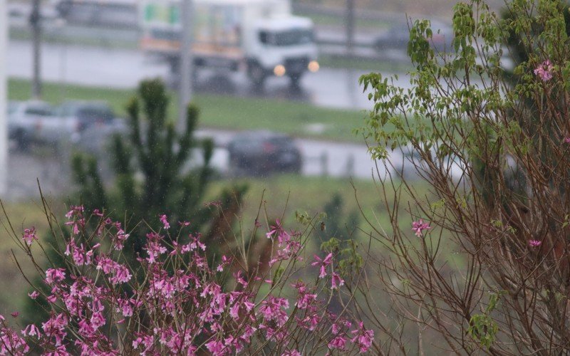 Semana começa com chuva na região de Novo Hamburgo | Jornal NH