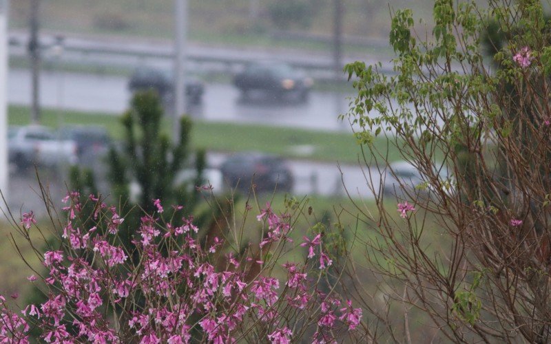 Previsão é de fim de semana com chuva na região de Novo Hamburgo | Jornal NH