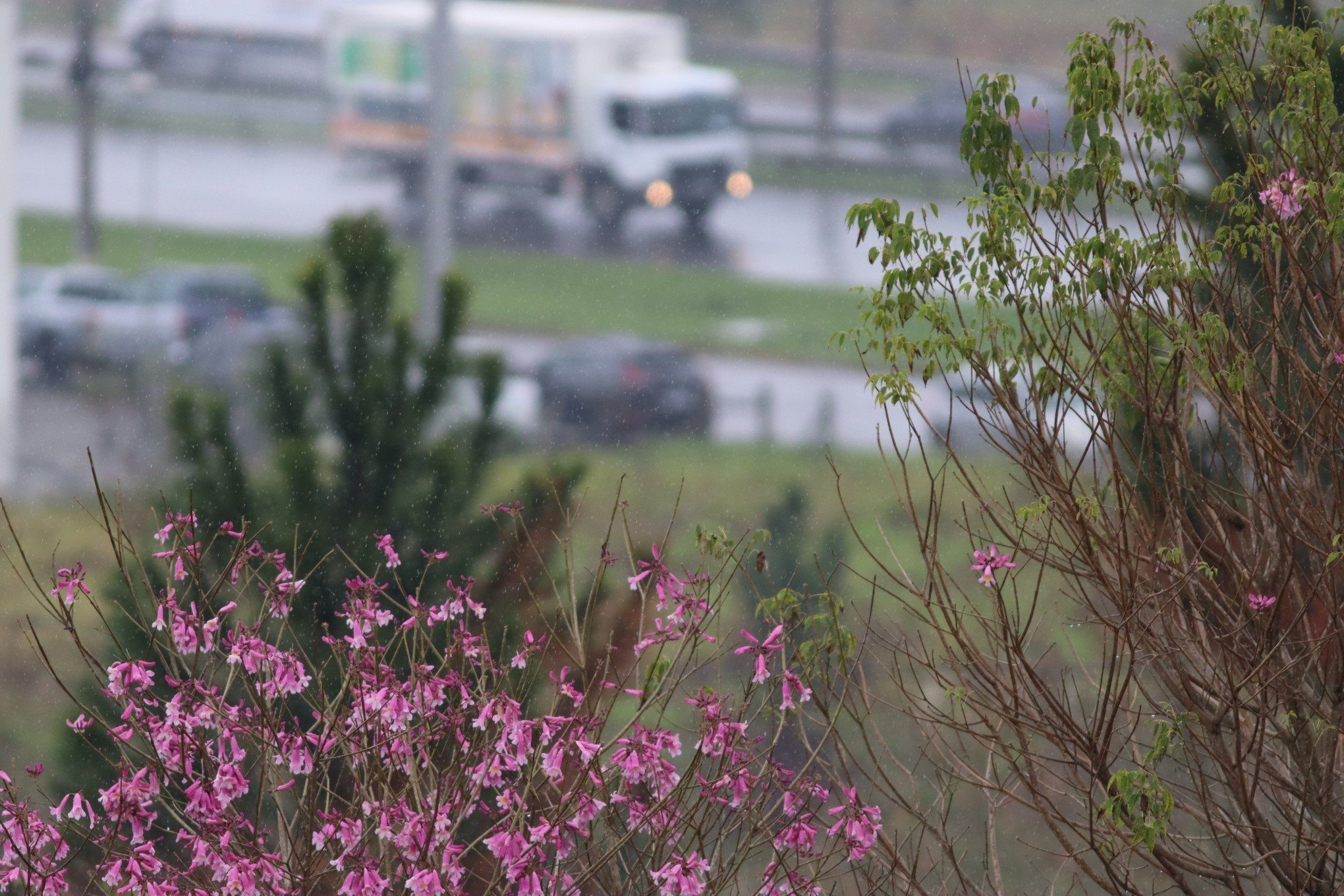 Previsão do tempo: nuvem demais para chuva de menos