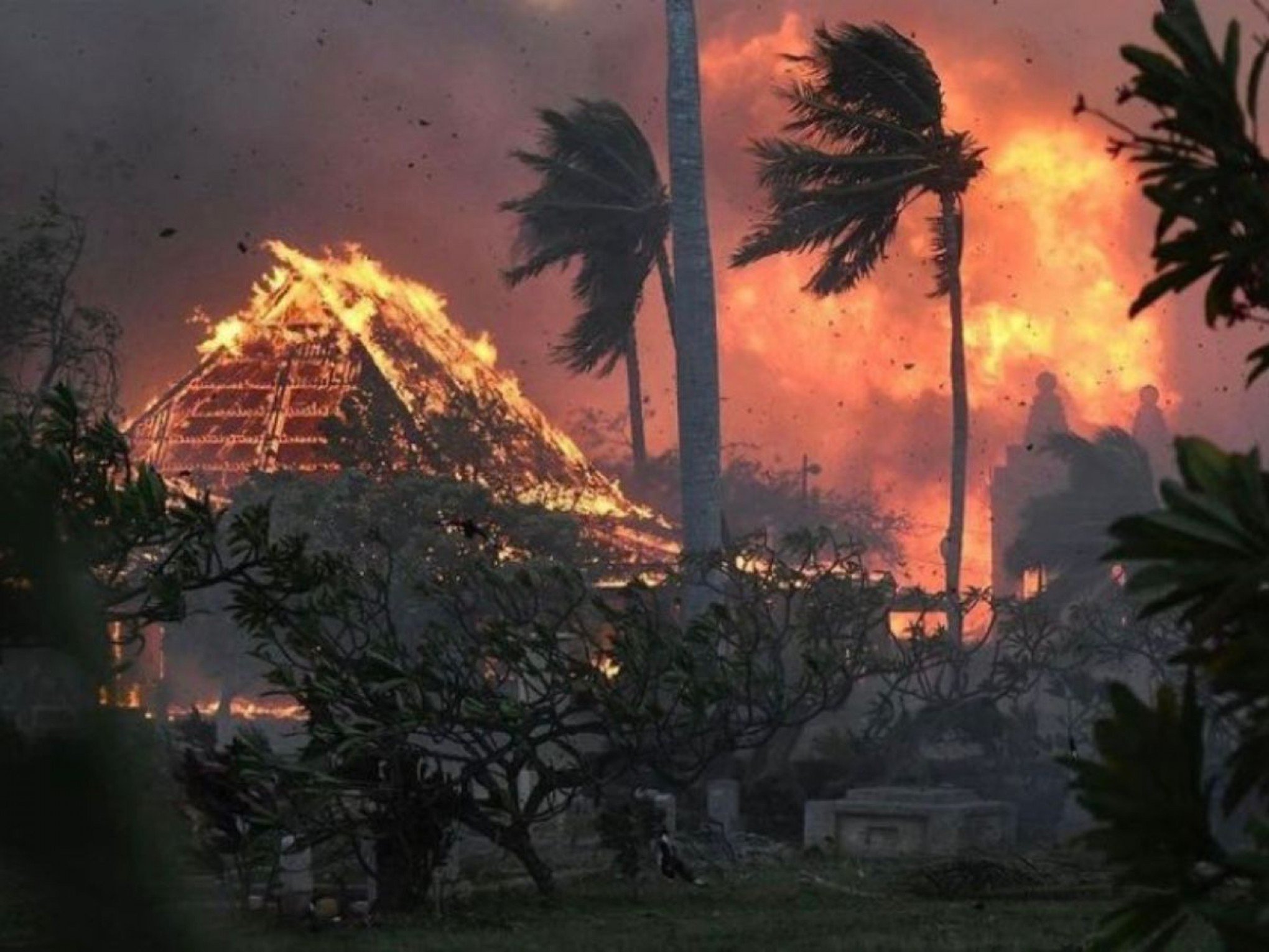 Saiba o que motivou tempestade de fogo que fez pelo menos 12 pessoas se jogarem no oceano para fugir das chamas no Havaí
