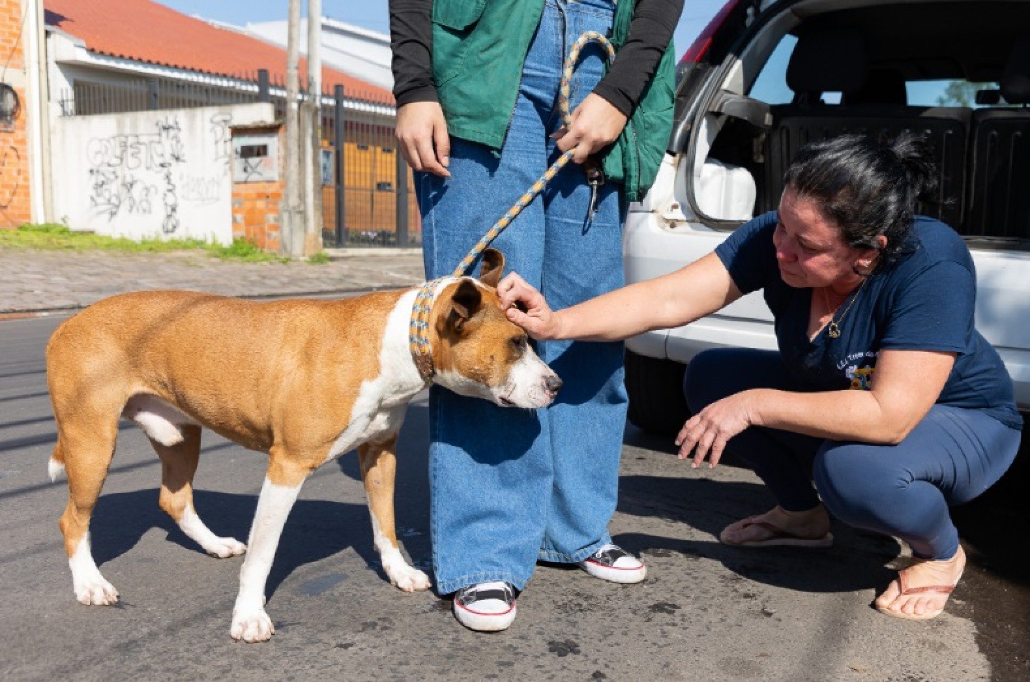 Polícia Civil e Secretaria do Bem-Estar Animal promovem operação de orientação em Canoas