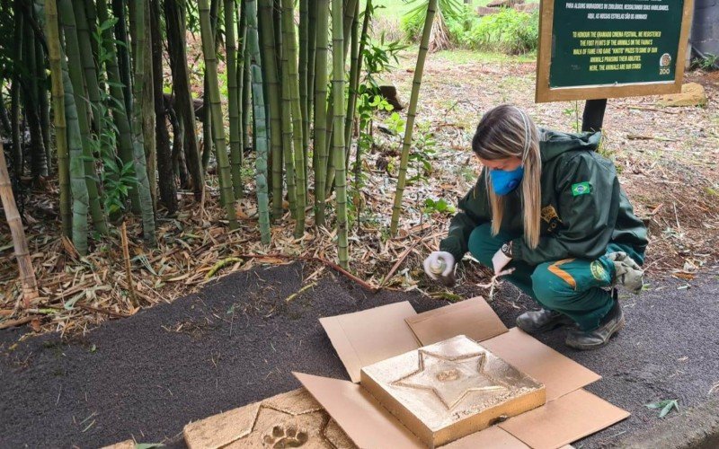 Calçada da Fauna ganha nova pegada de jaguatirica no Gramadozoo