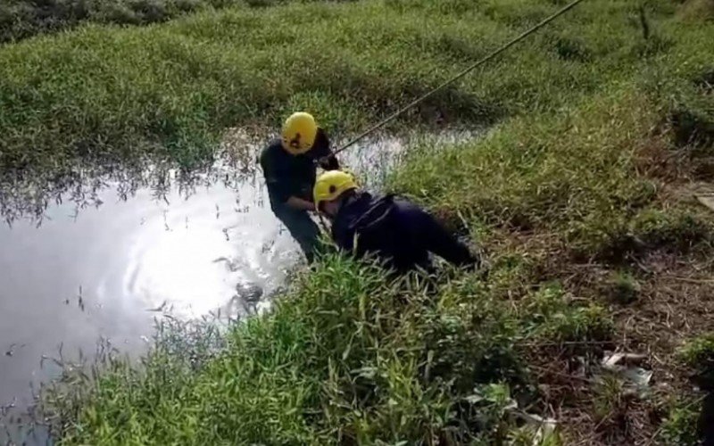 Cadáver foi resgatado pelo Corpo de Bombeiros na manhã deste sábado (12) | Jornal NH