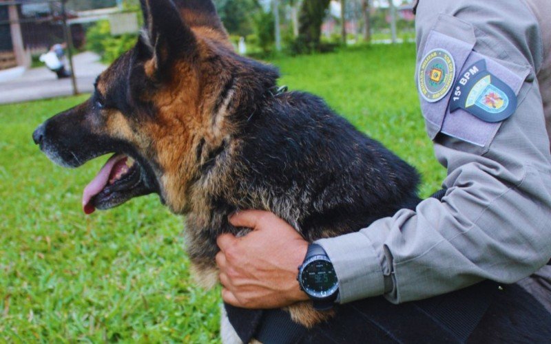 CÃ£o policial Dirk