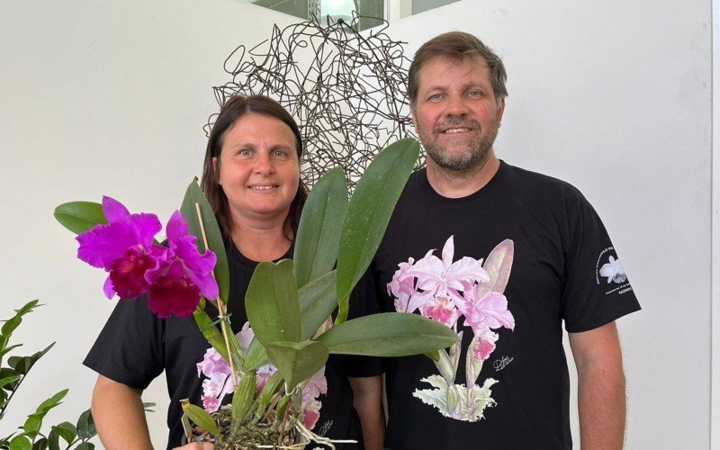 Mostra de orquídeas em Novo Hamburgo contará com curso de cultivo; saiba como participar