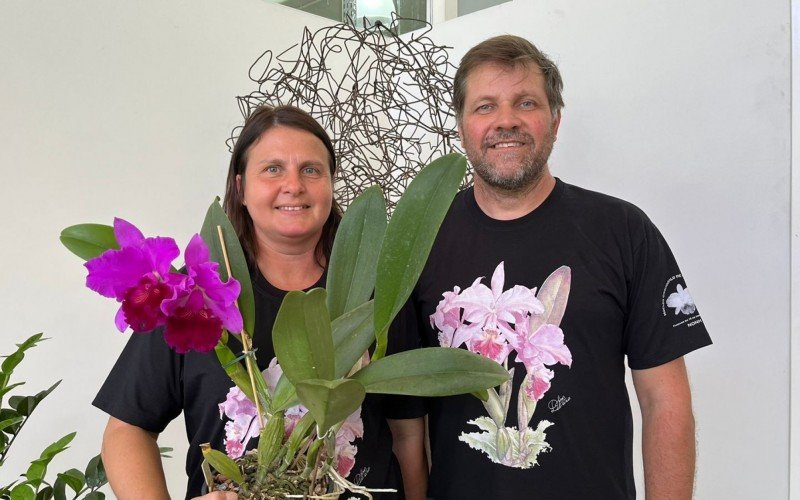 Mostra de orquídeas em Novo Hamburgo contará com curso de cultivo | Jornal NH