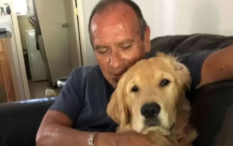 Homem morre carbonizado ao tentar salvar cachorro no Havaí | Jornal NH