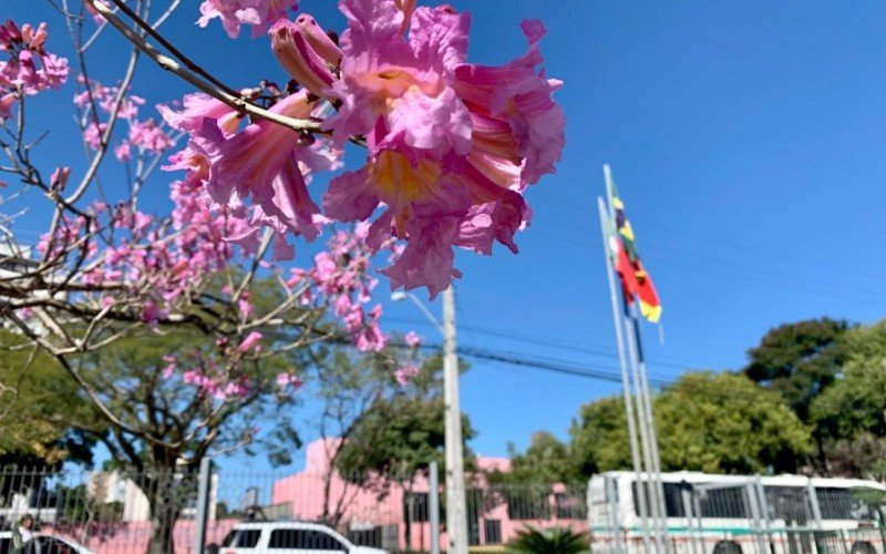 Semana começa com sol e calor na região de Novo Hamburgo | Jornal NH