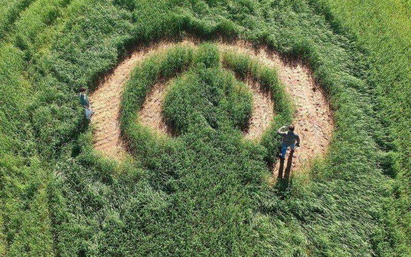 Imagens aéreas mostram desenho em lavoura de Vale Verde | Jornal NH