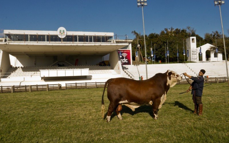 Preparativos para a 46ª Expointer, em Esteio