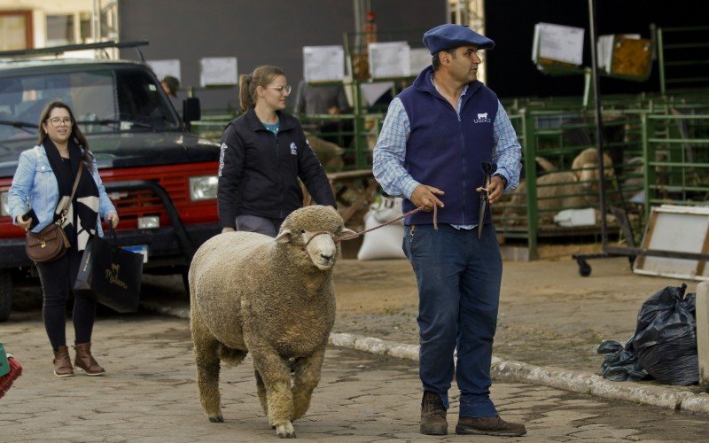 Preparativos para a 46ª Expointer, em Esteio