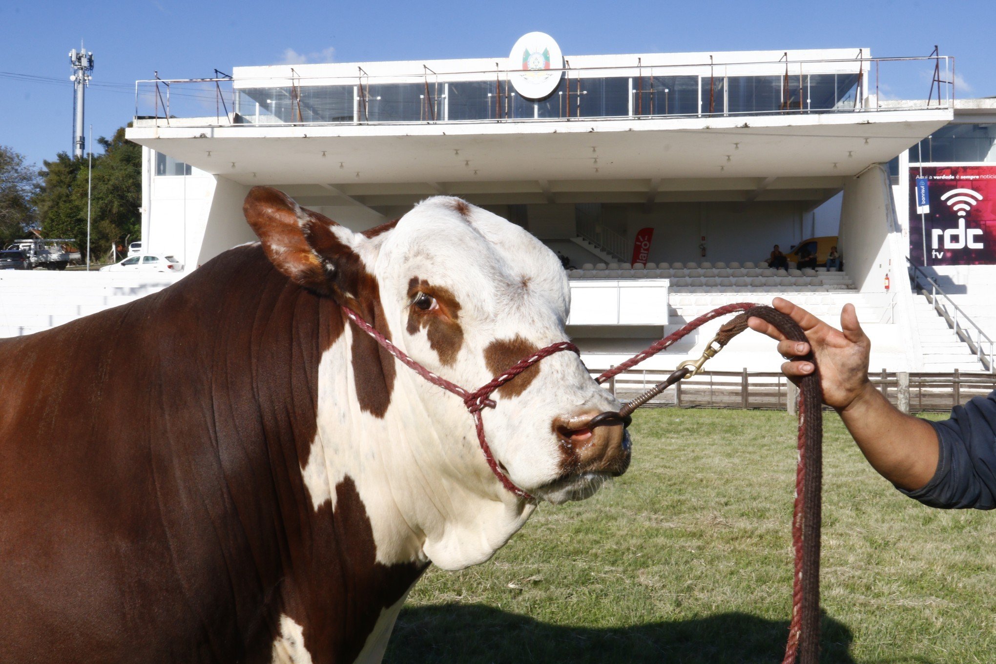 Expointer começa neste sábado com expectativa de quebrar recordes