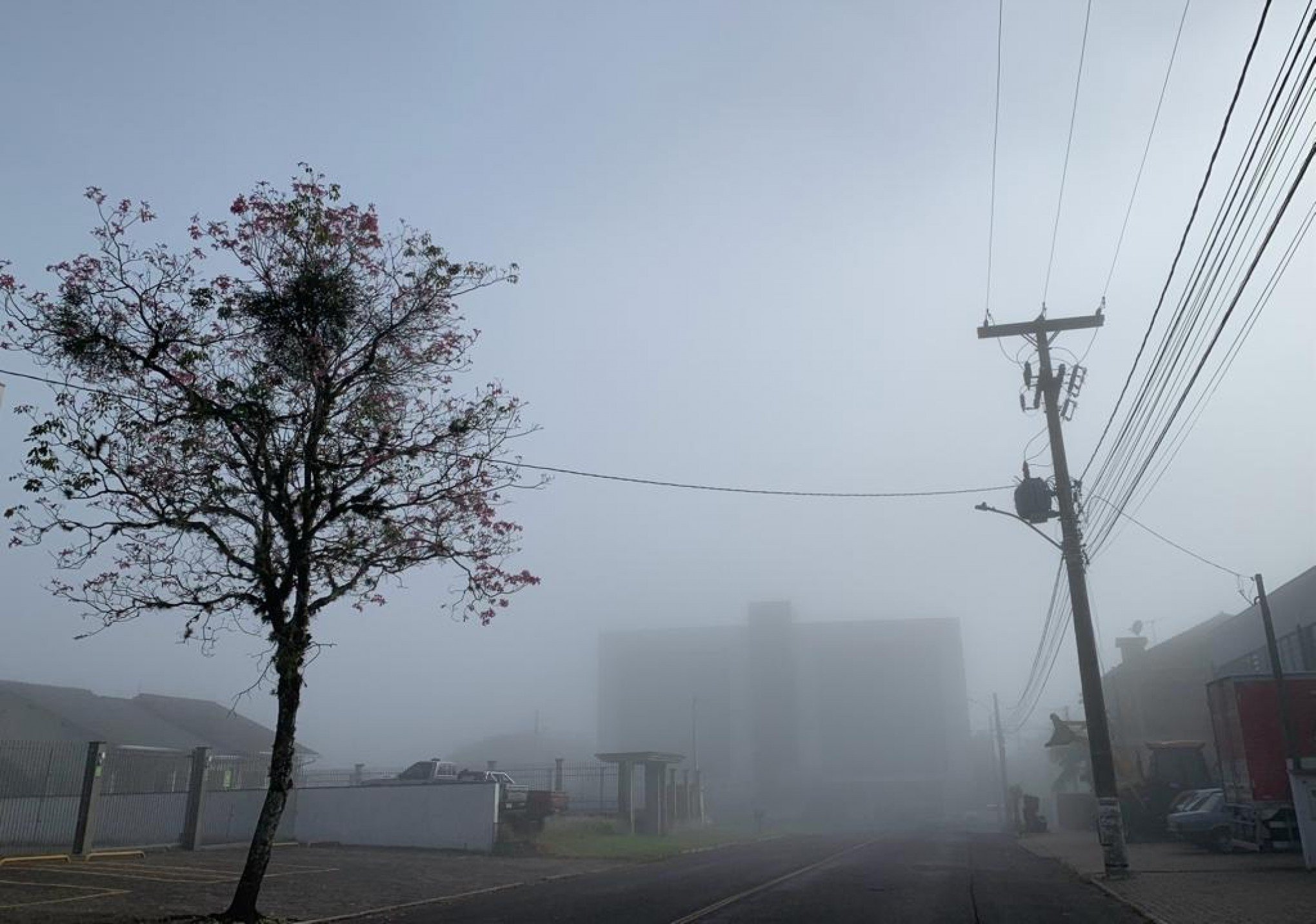 PREVISÃO DO TEMPO: Frio retorna ao Rio Grande do Sul com mínimas de 3°C e neblina; confira como será o fim de semana