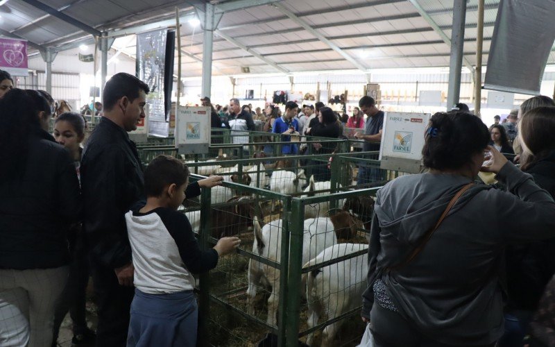 Sábado ensolarado movimenta o primeiro dia de evento no Parque Assis Brasil