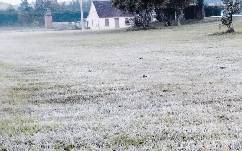 PREVISÃO DO TEMPO: Massa de ar frio derruba temperatura e RS pode ter geada; saiba quando | Jornal NH