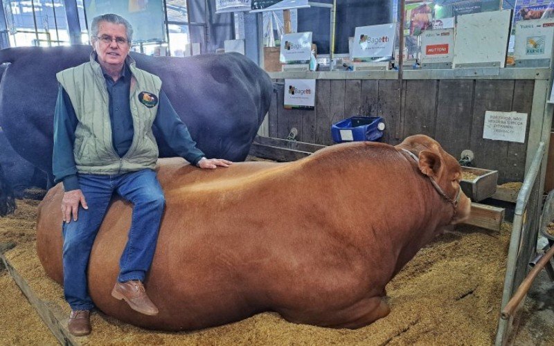 Pecuarista Cacaio com seu touro Hudson, o mais pesado da Expointer 2023 | abc+