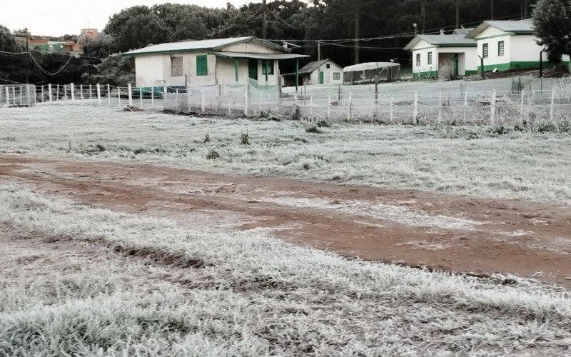 Geada congela paisagem em SÃ£o Francisco de Paula na manhÃ£ desta segunda-feira