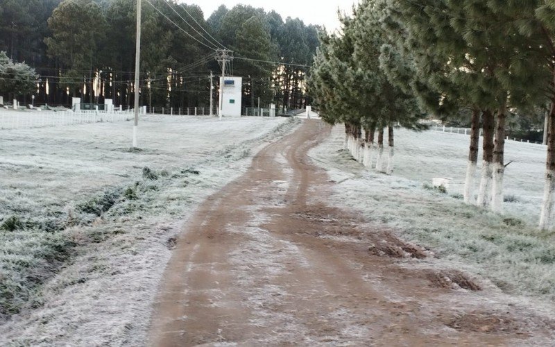 Geada congela paisagem em SÃ£o Francisco de Paula na manhÃ£ desta segunda-feira