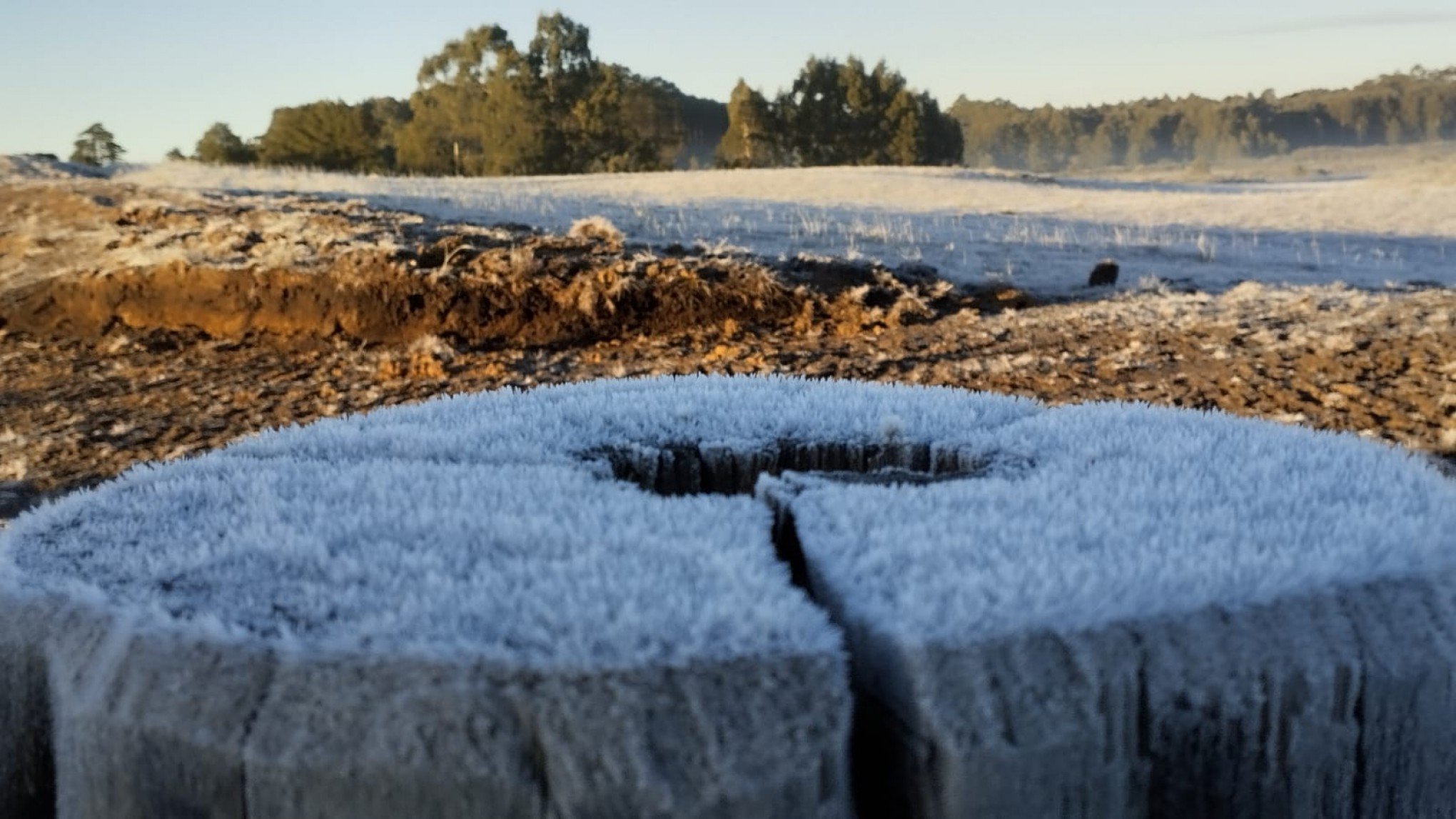 FOTOS: Frio e geada congelam paisagem da região nesta segunda-feira