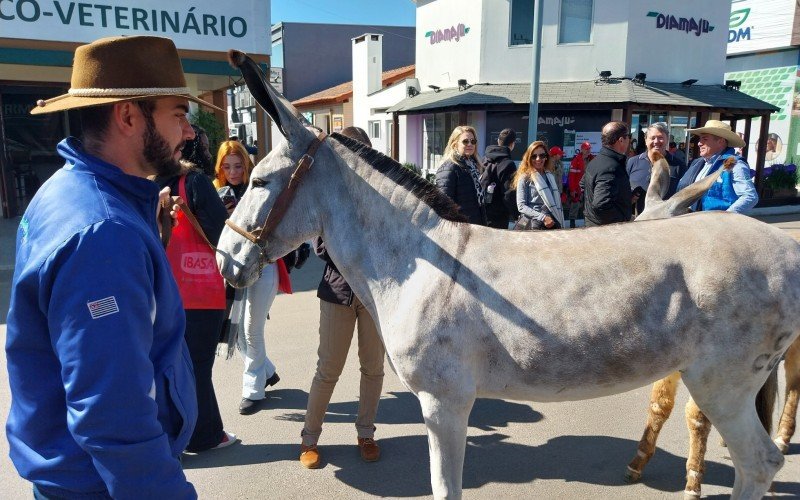 Rauan Cisotto com a jumenta Umbaua 