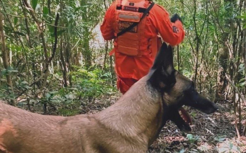 CÃ£es farejadores auxiliaram policiais civis e bombeiros nas buscas por idoso em TrÃªs Coroas