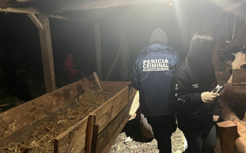 Peritos do IGP estiveram no local que fica na zona rural de TrÃªs Coroas na segunda-feira (28)