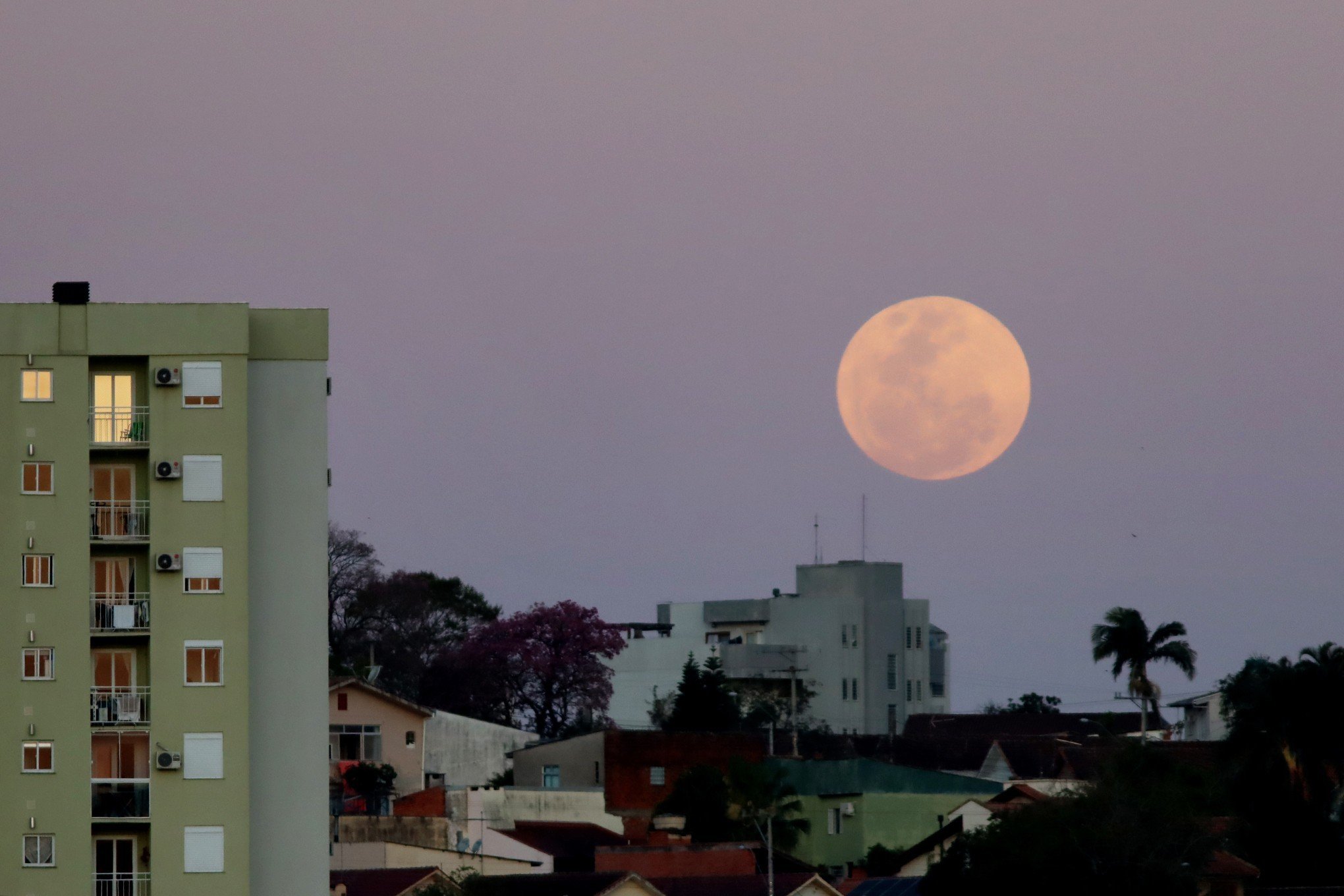 SUPERLUA Veja fotos da lua azul desta quartafeira Notícias Jornal NH