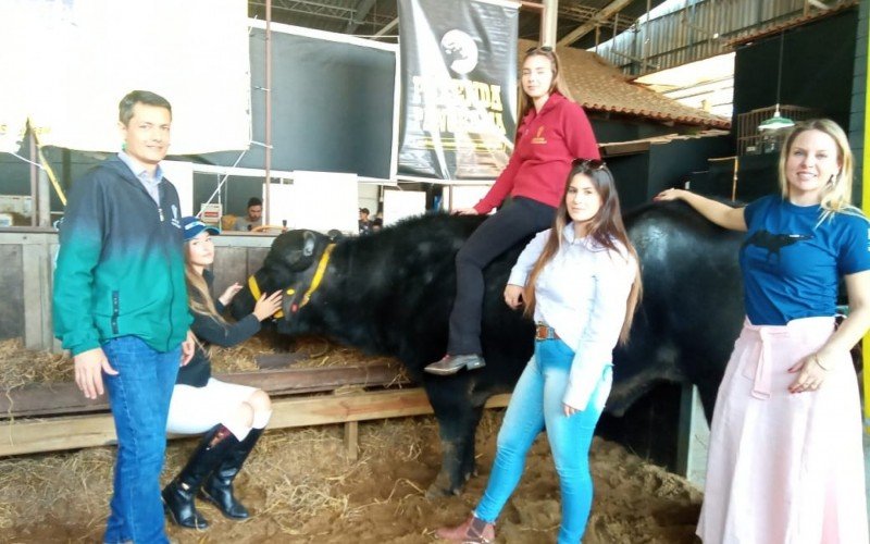 Estudantes de Medicina Veterinária estão em contato direto com os animais