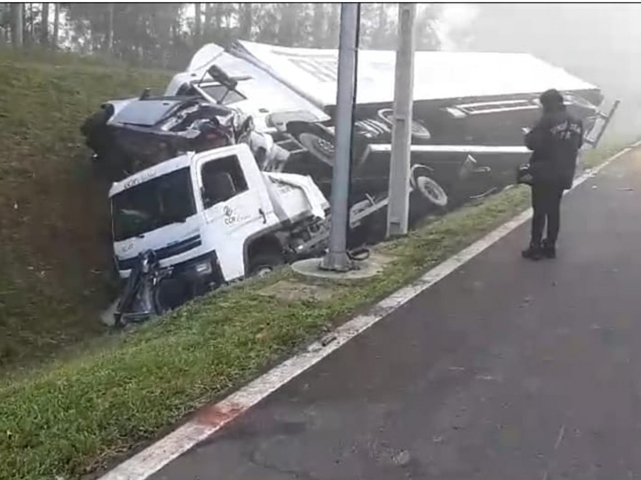 FOTOS: Mortos em acidente com guincho e caminhão na free way eram passageiros de carro de aplicativo que entrou em pane