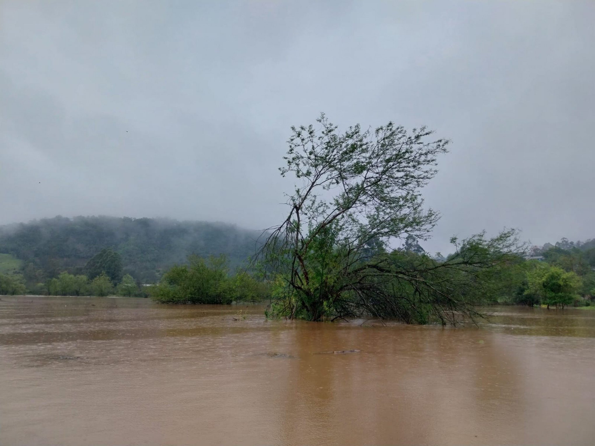 Chuva intensa gera alagamentos nesta segunda-feira em Ivoti | Jornal NH