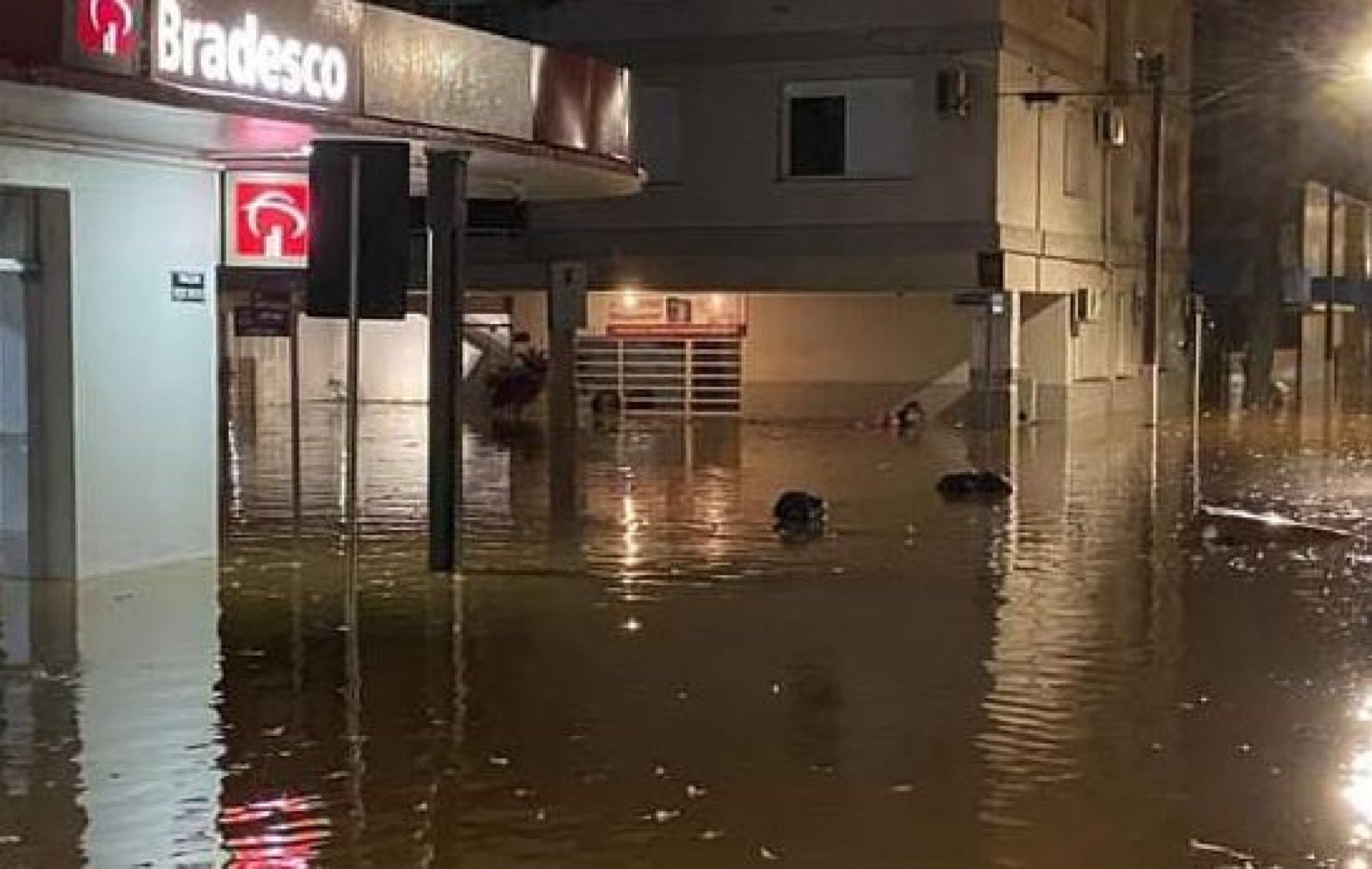 CHUVA NO RS: Vale do Taquari tem noite com ruas alagadas, moradores ilhados e certeza de enchente maior que a de 2020