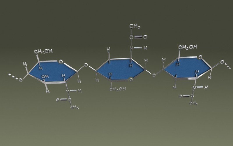 Estrutura molecular da quitina | Jornal NH