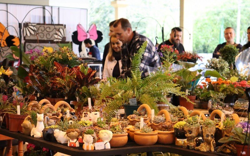 Visitantes buscavam por flores diversas