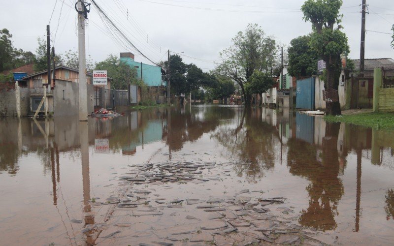 Água segue em parte da Rua das Camélias, no bairro Pinheiro, neste sábado (9)