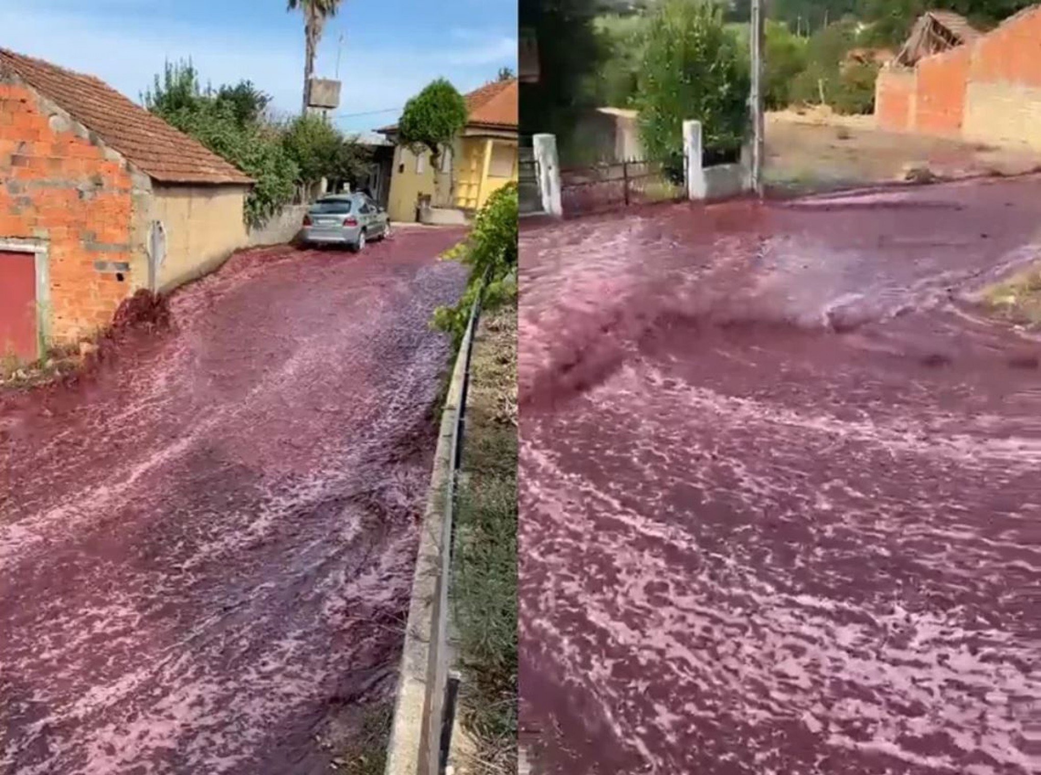 VÍDEO: Cidade de Portugal é tomada por rio de vinho após depósito estourar; entenda