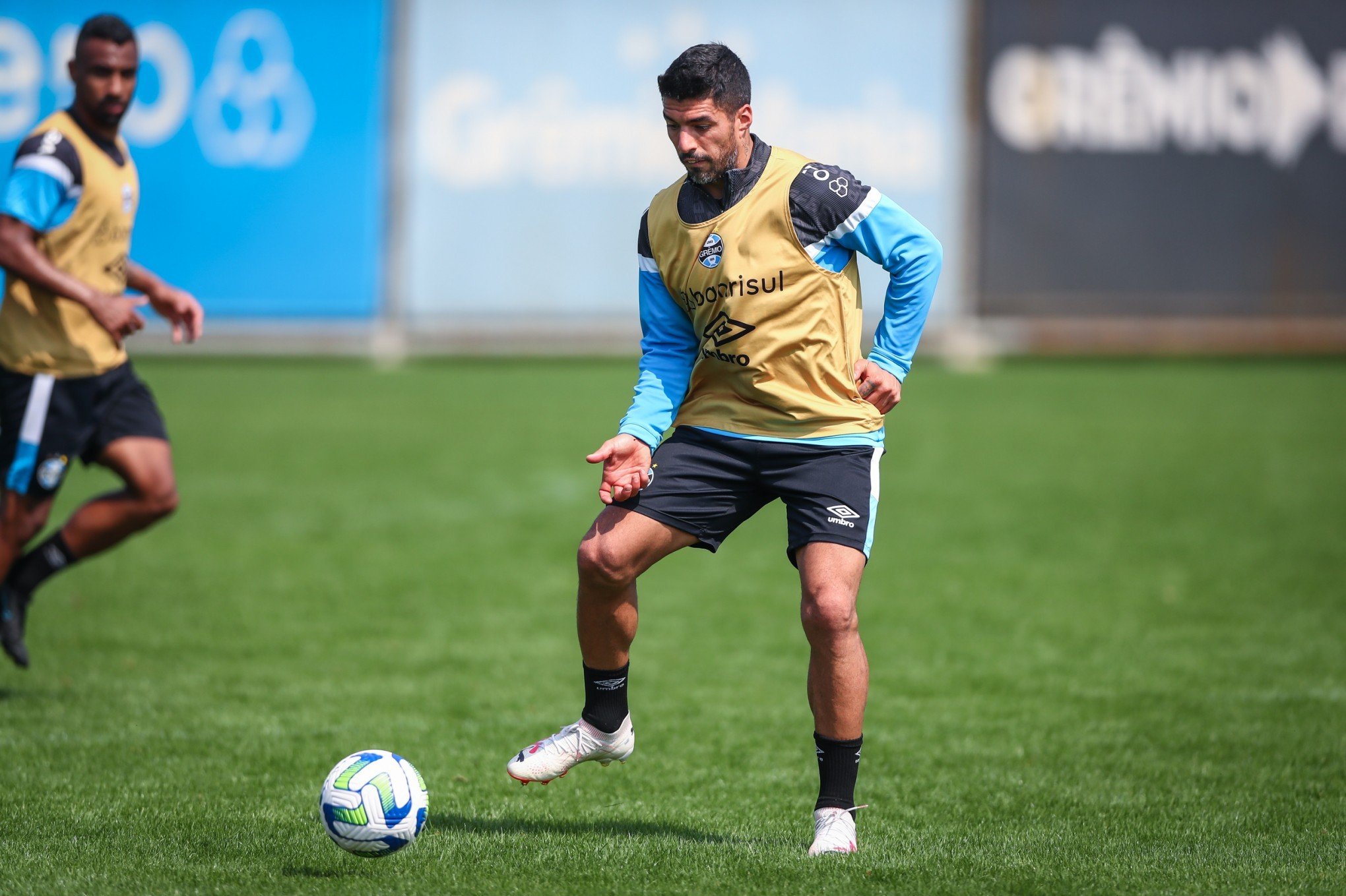 Luis Suárez volta aos treinos e Grêmio segue preparação para duelo pelo Brasileirão