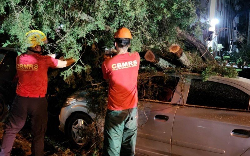 Árvore caiu em cima de carro em São Leopoldo | Jornal NH