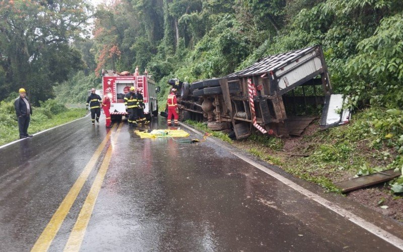 RS-020: CaminhÃ£o que transportava bois vivos tomba e rodovia Ã© bloqueada apÃ³s animais ficarem pela pista