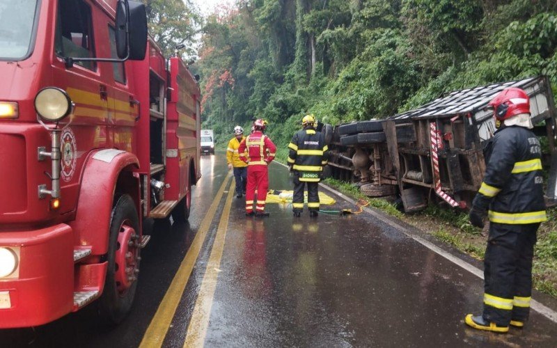 RS-020: Caminhão que transportava bois vivos tomba e rodovia foi bloqueada após animais ficarem pela pista; liberação aconteceu por volta das 18 horas desta terça-feira (12) | Jornal NH
